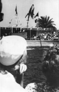 <p style="font-size:10px">Seaquarium, Miami, Floryda</p>