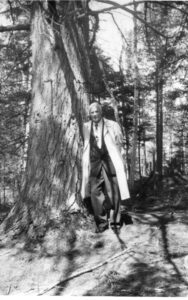 <p style="font-size:10px">W swoim lesie</p>